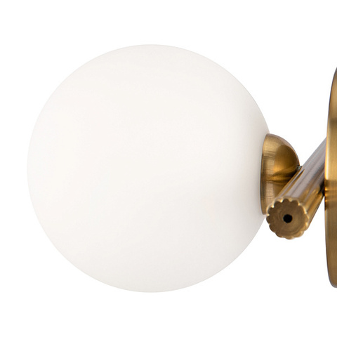 Настенный светильник Freya Blossom FR5259WL-01BS