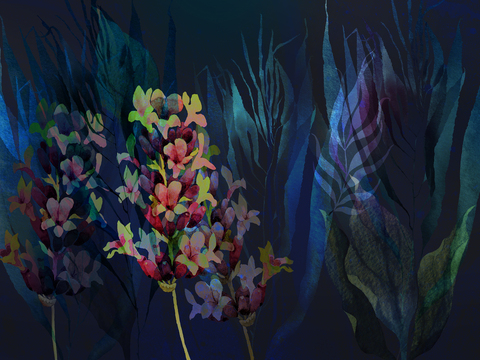 Коллекция AQUA DE VIDA