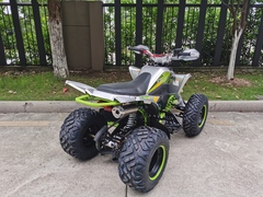 Квадроцикл YACOTA TYPHOON 250