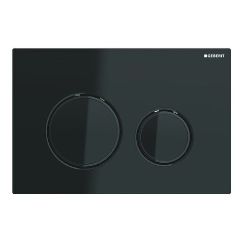 Смывная клавиша Geberit Sigma21, для двойного смыва, цвет металлический хромированный черный: хромированный черный, черный