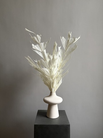 Кариота белая