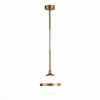 Подвес ST Luce Arbe SL1157.303.01