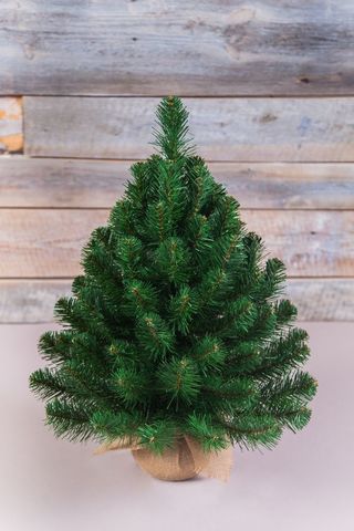 Ель Альпийская 60см в мешочке зеленая Triumph Tree