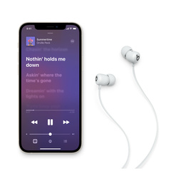 Наушники вставные Beats Flex Bluetooth Earphones, Smoke Gray