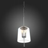 Светильник подвесной ST Luce Delevaso SL367.103.04
