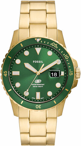 Наручные часы Fossil FS5950 фото