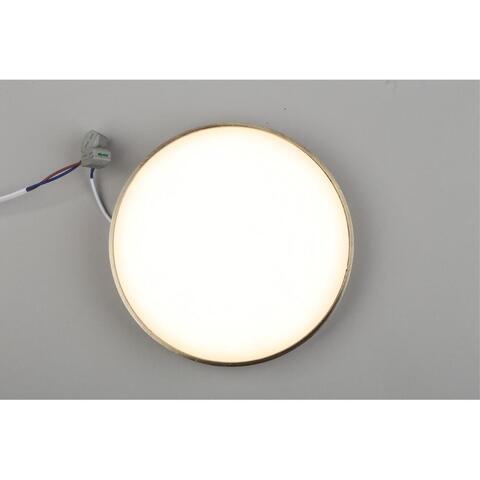 Потолочный светодиодный светильник Aployt Evon APL.0113.29.24