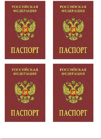 Печать на сахарной бумаге, Паспорт-5