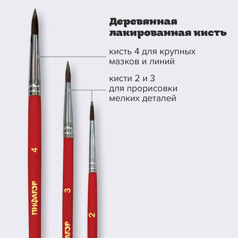 Кисти ПИФАГОР, набор 3шт, пони круглые №2,3,4, пакет с европодвесом