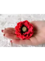 Пищевой молд 