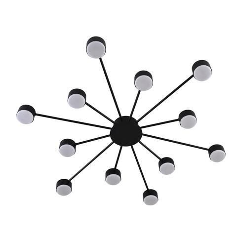 Потолочная люстра Lumion TORINA 8344/12C