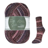 Пряжа Rellana Flotte Socke 4f. Andante 1862