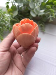 Силиконовая форма 