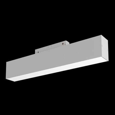 Трековый светильник Technical BASIS TR012-2-12W3K-W