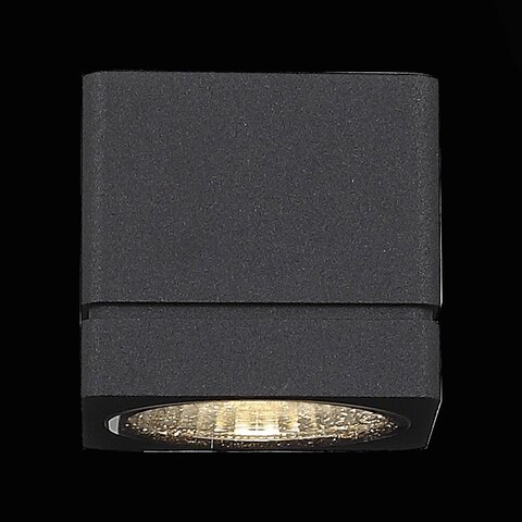 Светильник уличный ST Luce Coctobus SL563.401.01