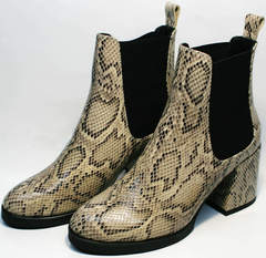 Ботинки на устойчивом каблуке весна осень Kluchini 13065 k465 Snake.