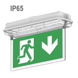Двухсторонние указатели аварийного освещения Moncato DP628 IP65 D-sign