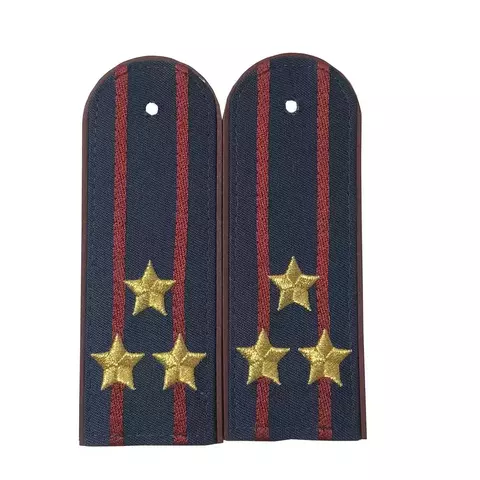 Погоны ФСИН люрикс полковник