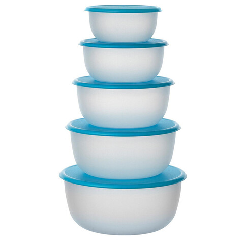 Комплект контейнеров пищевых (5 шт.) РЕДДА в наборе с крышками прозрачный/белый/синий