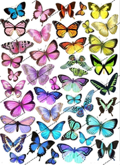 Вафельная картинка Бабочки 13
