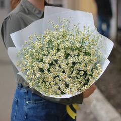 Букет из ромашек "Pureflora"