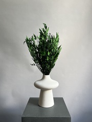 Нандина стабилизированная