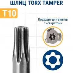Бита отверточная ПРАКТИКА Профи Torx Tamper-10 х 25мм (2шт) (776-386)