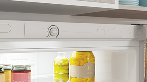 Холодильник Indesit ITR 4200 W mini –  8