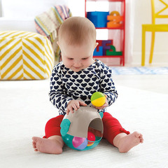 Fisher Price  Игровой набор Сова с шариками (CDN46)