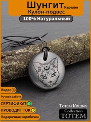 Шунгит натуральный камень Тотем кошка круглый кулон оберег талисман Карелия