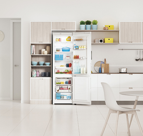 Холодильник Indesit ITR 4200 W mini –  6