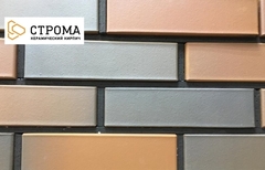Кирпич лицевой СТРОМА Bordo flash гладкий 1 НФ
