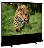 Экран для проектора S'OK SCPSF-122x163 80'' 4:3 переносной, напольный, ручной, черный
