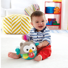 Fisher Price  Игровой набор Сова с шариками (CDN46)