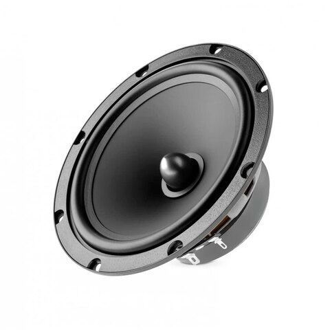 Focal ASE-165