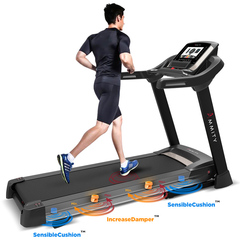 Беговая дорожка Ammity Dim DTM 5018