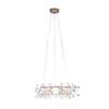 Подвесная люстра Loft It Heracleum 9022-162