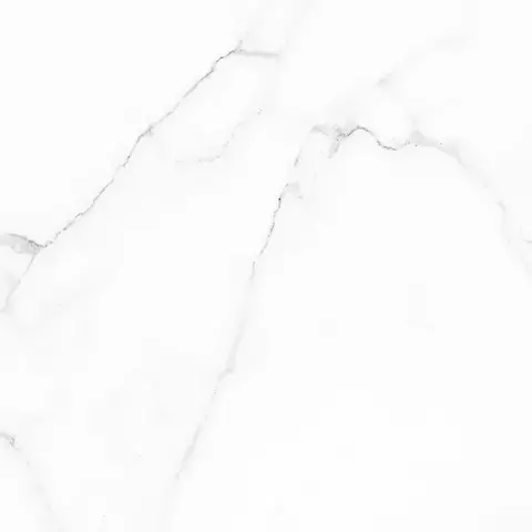 Alma Ceramica Carrara GFU04CRR00R 60x60