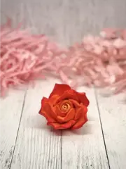 Пищевой молд 