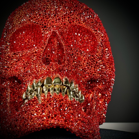 Череп человека в стразах