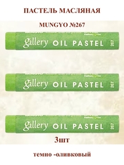 Пастель масляная мягкая профессиональная MUNGYO Gallery Тёмно-оливковый №267 (3шт)