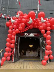 Фотозона из шаров входной группы