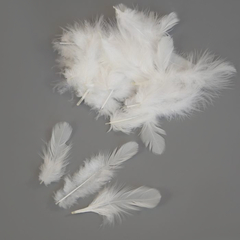 Перья в пакете, Белые, 8-10 см, 100 шт.
