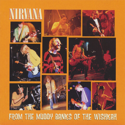 Виниловая пластинка. Nirvana - From The Muddy Banks Of The Wishkah