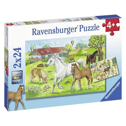 Puzzle At the stables