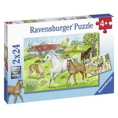 Puzzle At the stables