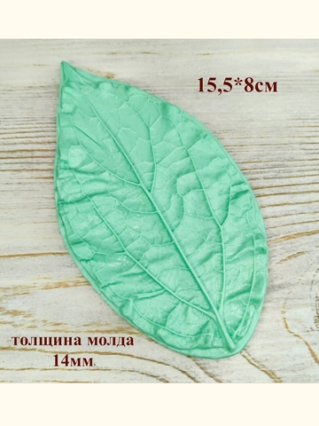 Молд лист 15,5х8см  