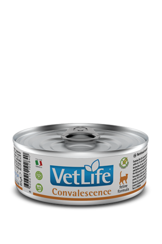 Farmina VET LIFE NATURAL DIET CAT CONVALESCENCE консервы для кошек (паштет) 85г