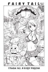Fairy Tail. Хвост Феи. Том 20