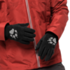 Картинка перчатки Jack Wolfskin Paw Gloves black - 2